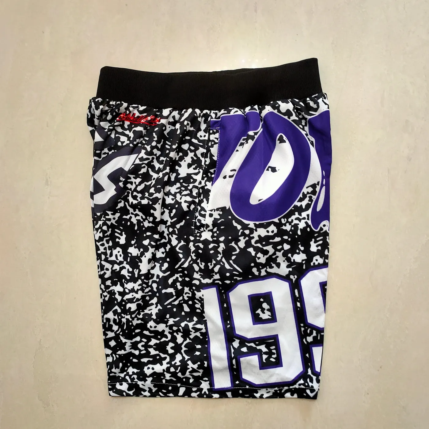 TORONTO RAPTORS PURPLE SHORTS