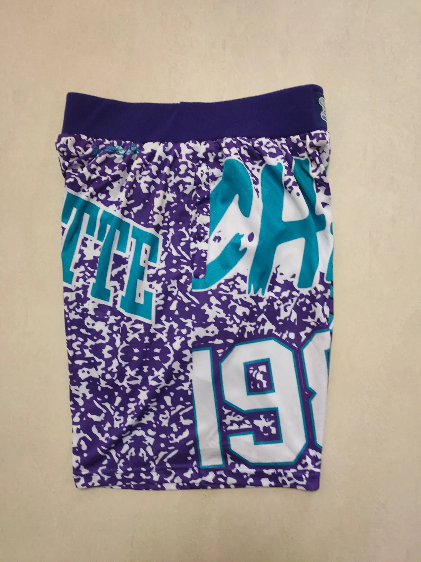 CHARLOTTE HORNETS PURPLE SHORTS